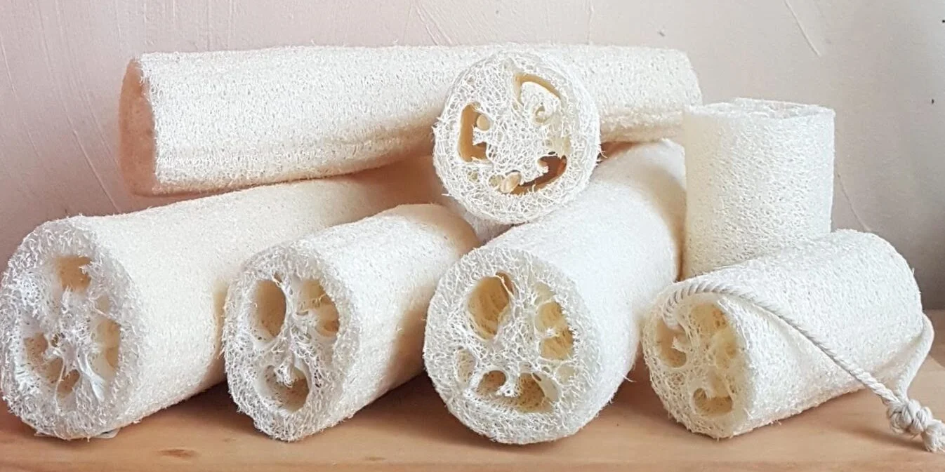 You are currently viewing Luffa – looduslik taimne pesukäsn