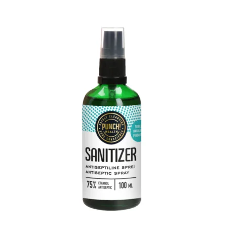 Punch Sanitizer antiseptiline sprei klaaspudelis 100ml