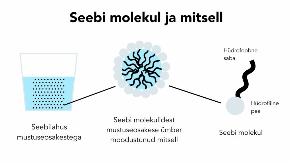 seebi molekul ja mitsell